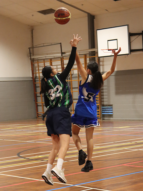 Sport Img 2259