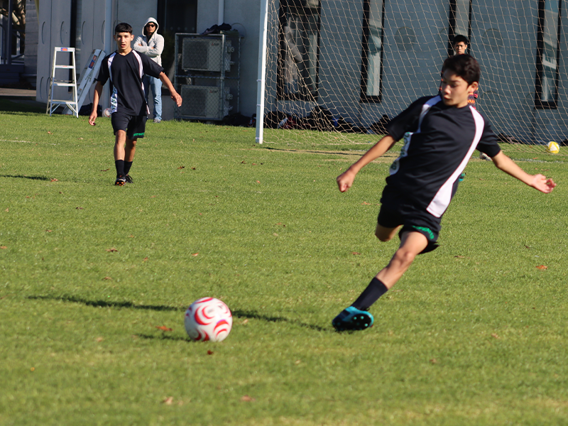 Sport Img 2364