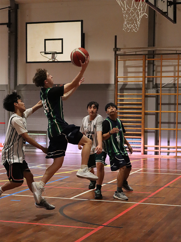 Sport Img 2586