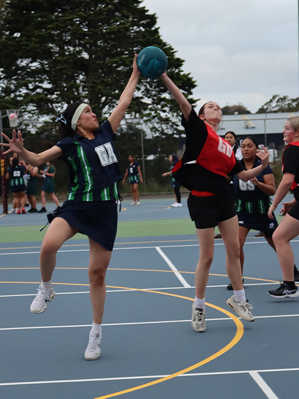 Sport Img 3082