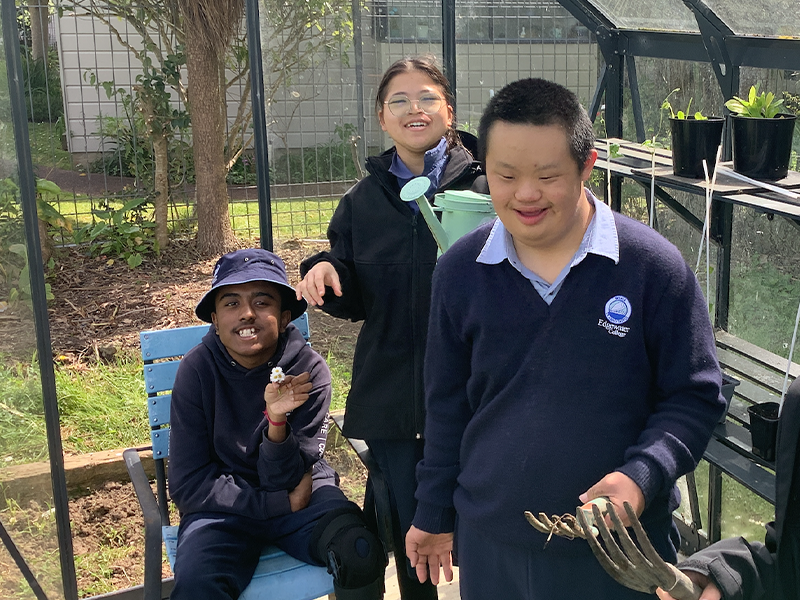 Sommerville Gardening